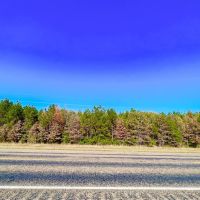 12.5 Acres US Highway 287 5B images 5