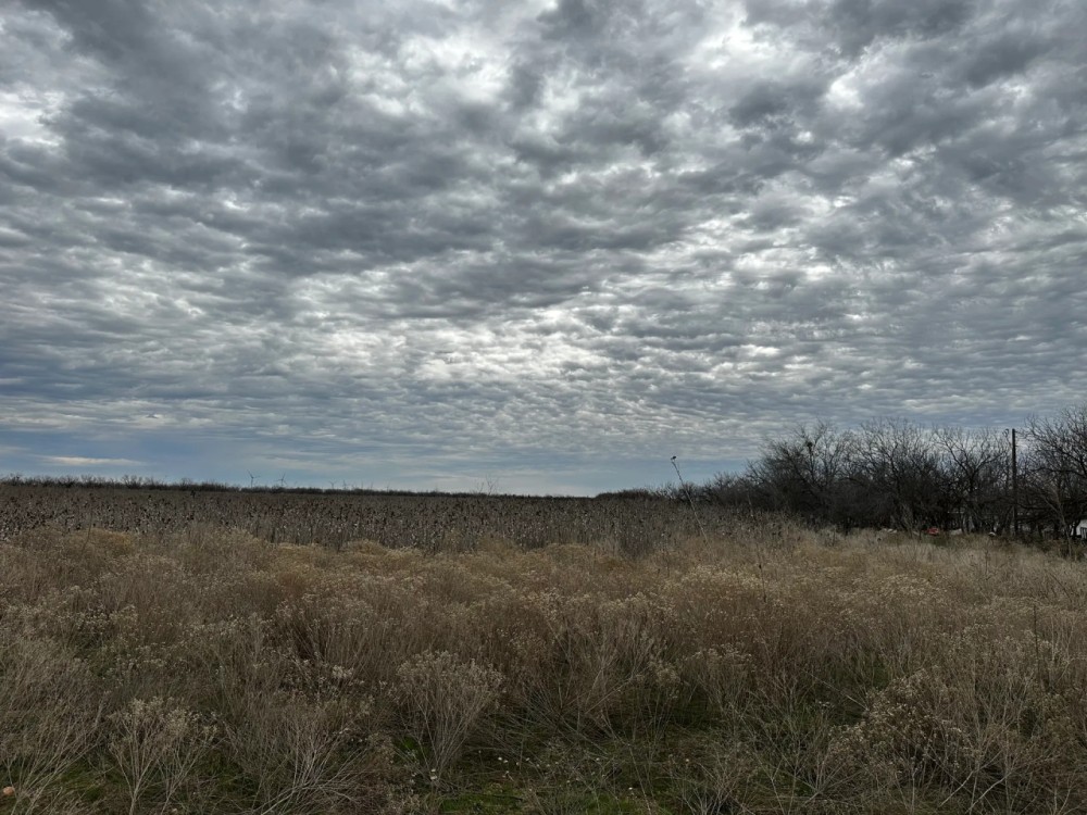 New Listing 10.5 Acres Tract 7 Callahan County featured image