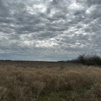 New Listing 10.5 Acres Tract 7 Callahan County