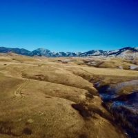 Cora Creek Farm and Furs images 2