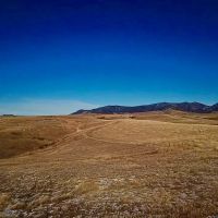 Cora Creek Farm and Furs images 3