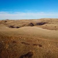 Cora Creek Farm and Furs images 4