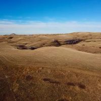 Cora Creek Farm and Furs images 5