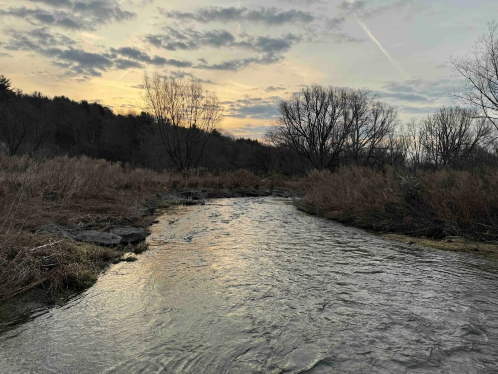 125 acres Hunting Land and Farmland bordering Clear Creek in Gerry NY Thornton Road featured image