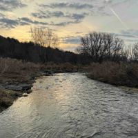 125 acres Hunting Land and Farmland bordering Clear Creek in Gerry NY Thornton Road