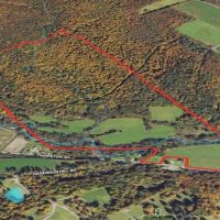 125 acres Hunting Land and Farmland bordering Clear Creek in Gerry NY Thornton Road images 3