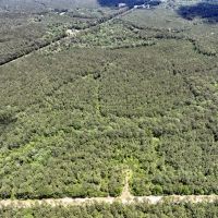 14 Acres T-2 Highway 190 images 3
