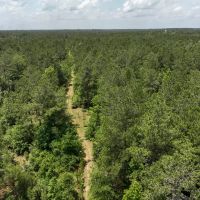 14 Acres T-2 Highway 190 images 4