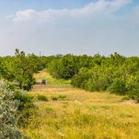 Silver Lake Ranch images 5