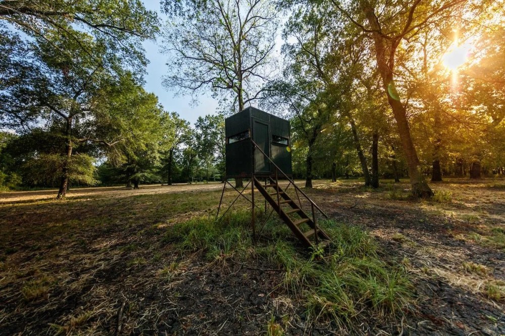 River Oats Ranch featured image