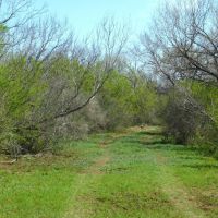Frio County Ranch - Versatile 615.85 acres images 2