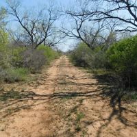 Frio County Ranch - Versatile 615.85 acres images 4