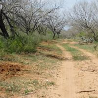 Frio County Ranch - Versatile 615.85 acres images 5