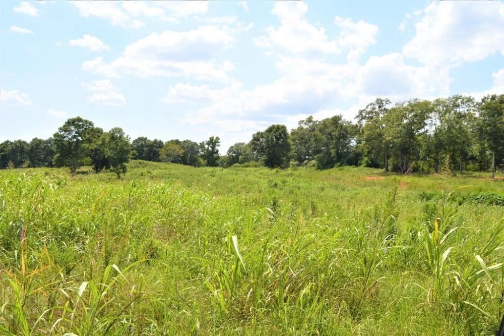 10 Acre Homesite for Sale near Golf Course Southwest MS featured image