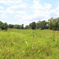 10 Acre Homesite for Sale near Golf Course Southwest MS