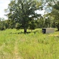 10 Acre Homesite for Sale near Golf Course Southwest MS images 3