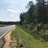 50 Acres Wooded Land for Sale Forrest County MS images 2