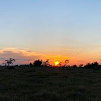 Land for Sale in Texas images 3