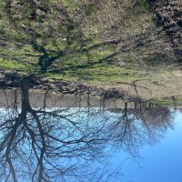 Land for Sale in Texas images 5