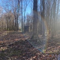 LA - Franklin 78 acres - images 2