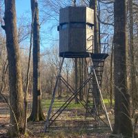LA - Franklin 78 acres - images 5