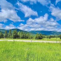 Western Montana Meadow images 2