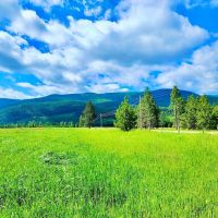 Western Montana Meadow images 5