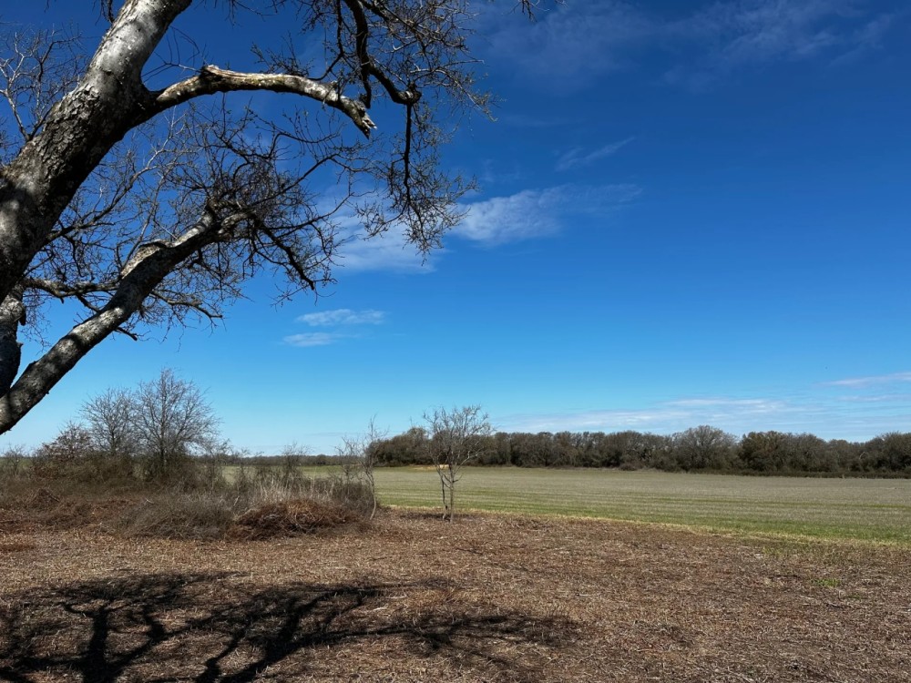 New Listing 35 - Acres Eastland County featured image