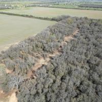 New Listing 35 - Acres Eastland County images 3