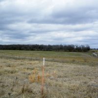 430 Acre Haskell County OK Ranch images 4