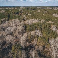 Large Residential Lot in Lincoln Parish images 3