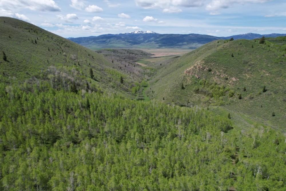 Fossil Canyon Ranch featured image