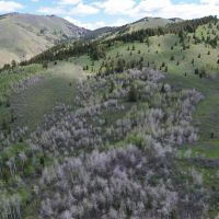 Fossil Canyon Ranch images 2