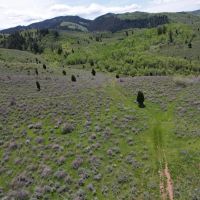Fossil Canyon Ranch images 4