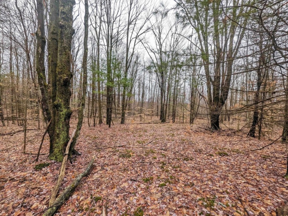 20 acres Recreational Property in Hornby NY Wilson Hollow Rd featured image