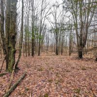 20 acres Recreational Property in Hornby NY Wilson Hollow Rd