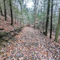 20 acres Recreational Property in Hornby NY Wilson Hollow Rd images 3