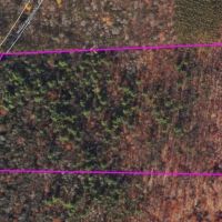 20 acres Recreational Property in Hornby NY Wilson Hollow Rd images 4