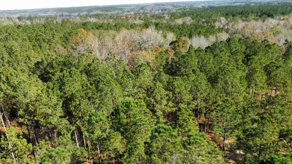 5 - Acres Lee Co. featured image