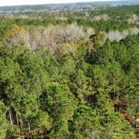 5 - Acres Lee Co.