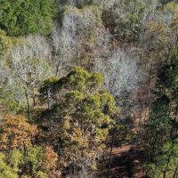 5 - Acres Lee Co. images 3