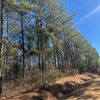 5 - Acres Lee Co. images 4