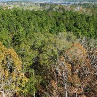5 - Acres Lee Co. images 5