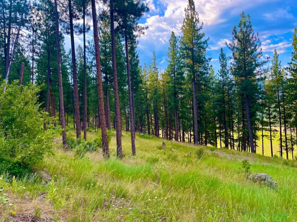 Amazing Alberton Acreage featured image