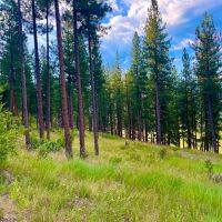 Amazing Alberton Acreage