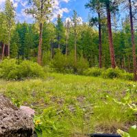 Amazing Alberton Acreage images 2