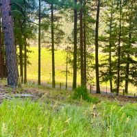 Amazing Alberton Acreage images 3