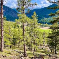 Amazing Alberton Acreage images 4