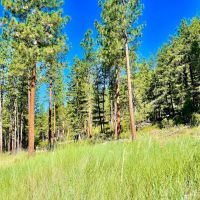 Amazing Alberton Acreage images 5