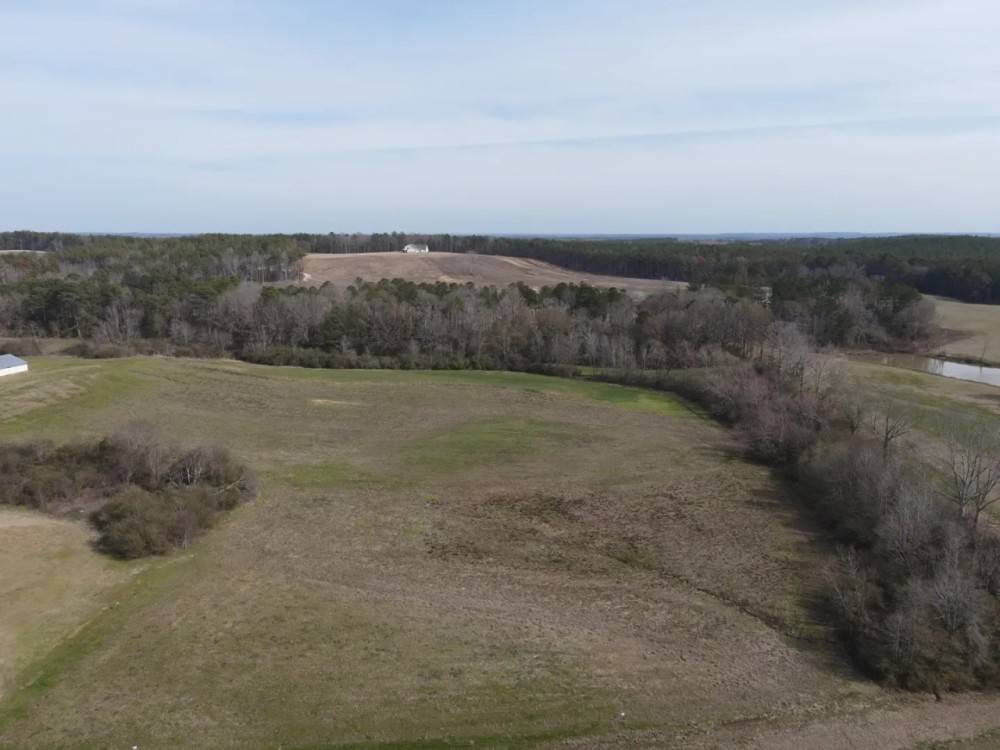 20 Acres in Rankin County Near Puckett MS featured image
